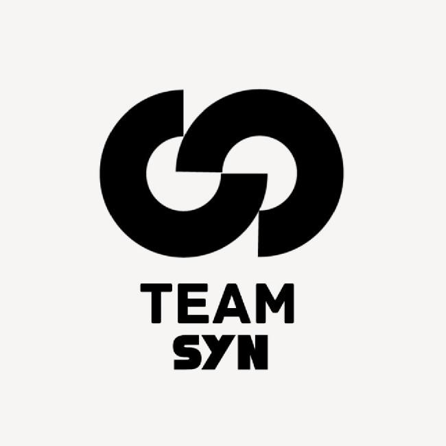 TEAM SYNERGY