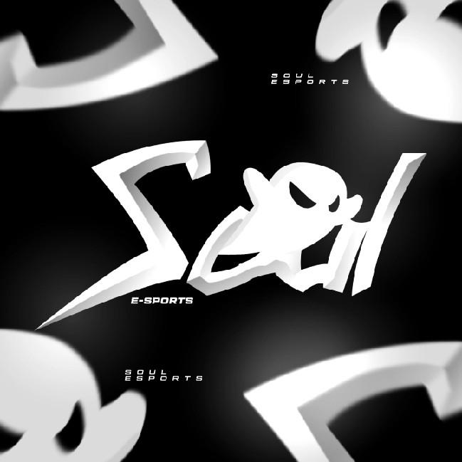 SOUL E-SPORTS