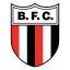 Botafogo SP B