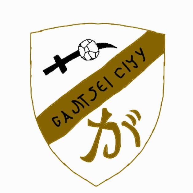 Gantsei City