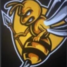 SUNY Broom Hornets