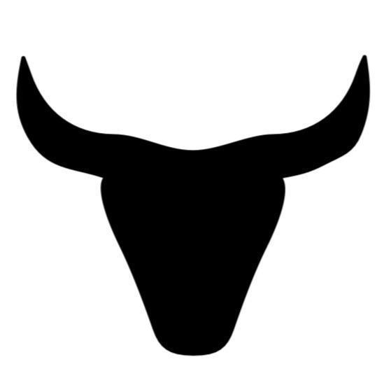 TORO BASQUET