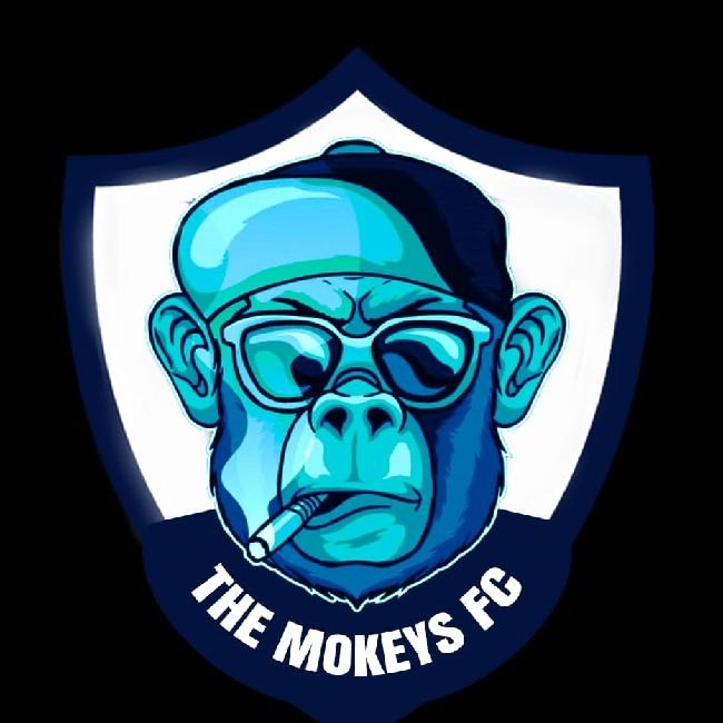 THE MONKE'S TEAM