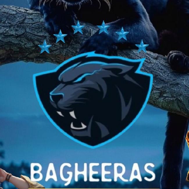 TEAM BAGHEERAS