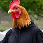 Galo Ceifador