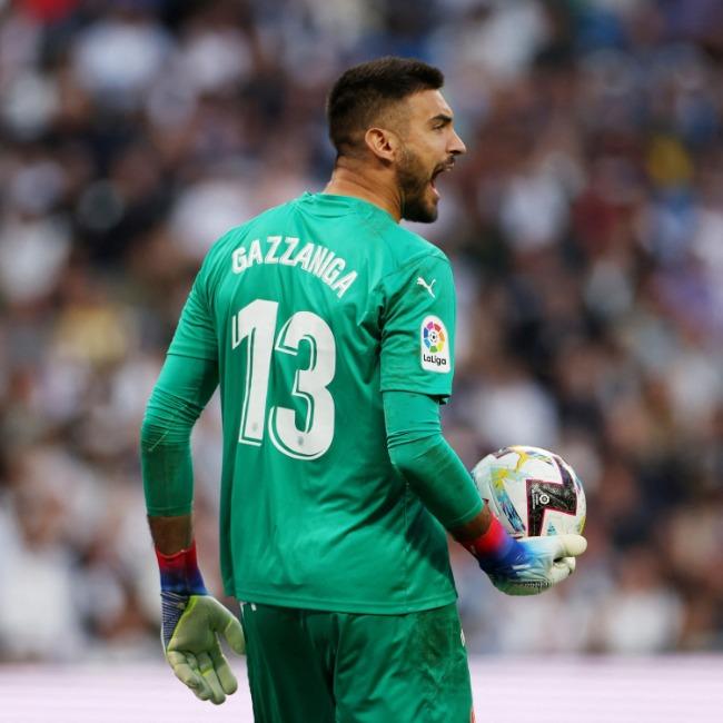 Gazzaniga