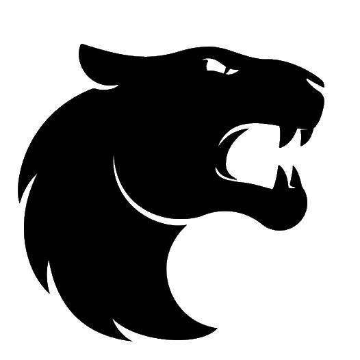FURIA Esports 🇧🇷