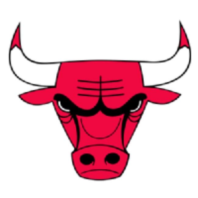 CHICAGO BULLS 🦃25