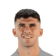 Carlos Aleñá