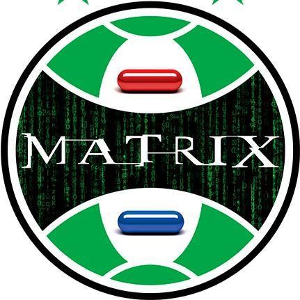 Matrix (Al&Si)