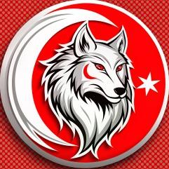 Turkish Wolf