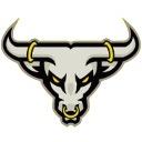 Houston Bulls