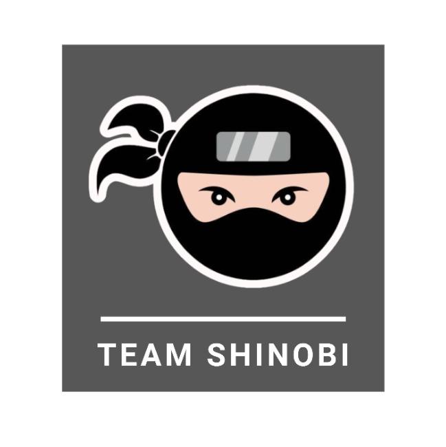 Team Sinobi
