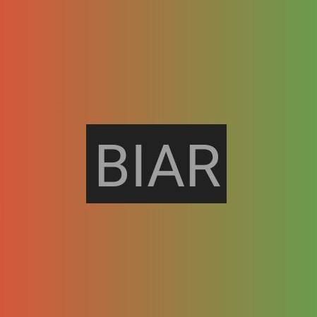 LIGA BIAR de apostas