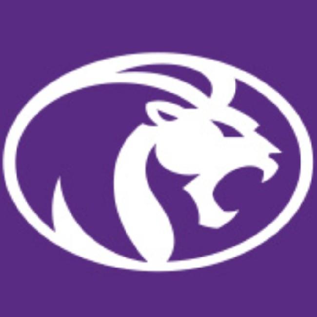 NORTH ALABAMA LIONS