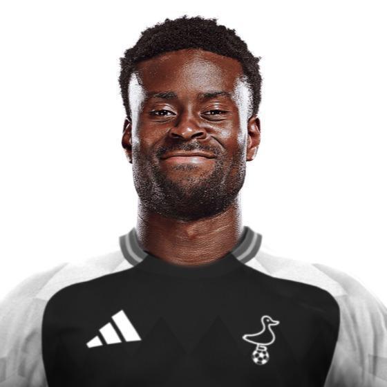 Визардиньо