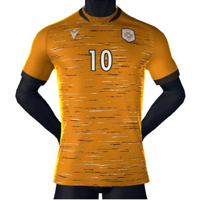Robin VAN PERSIE