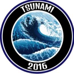 Tsunami