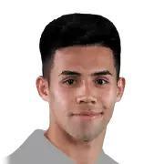 Alexander Aravena