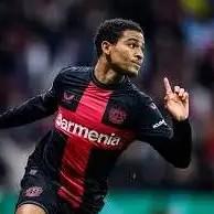 Amine Adli