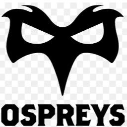 Ospreys