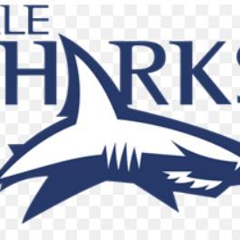 Sale Sharks