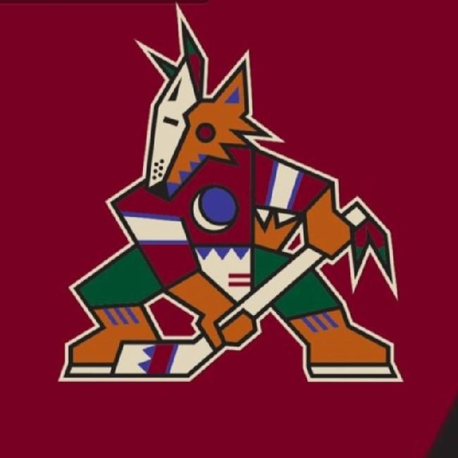 ARIZONA COYOTES