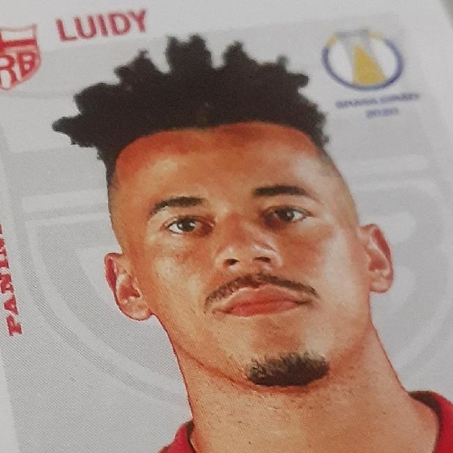 Luidy