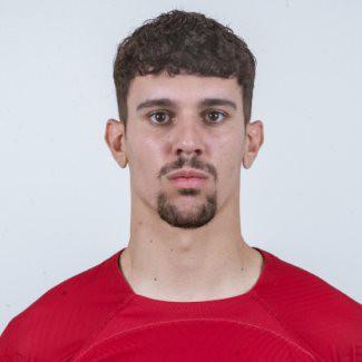 Tomás Araújo