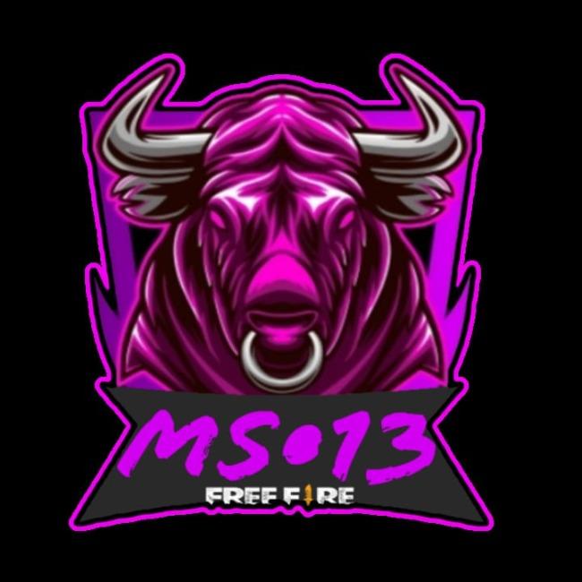 MS_13