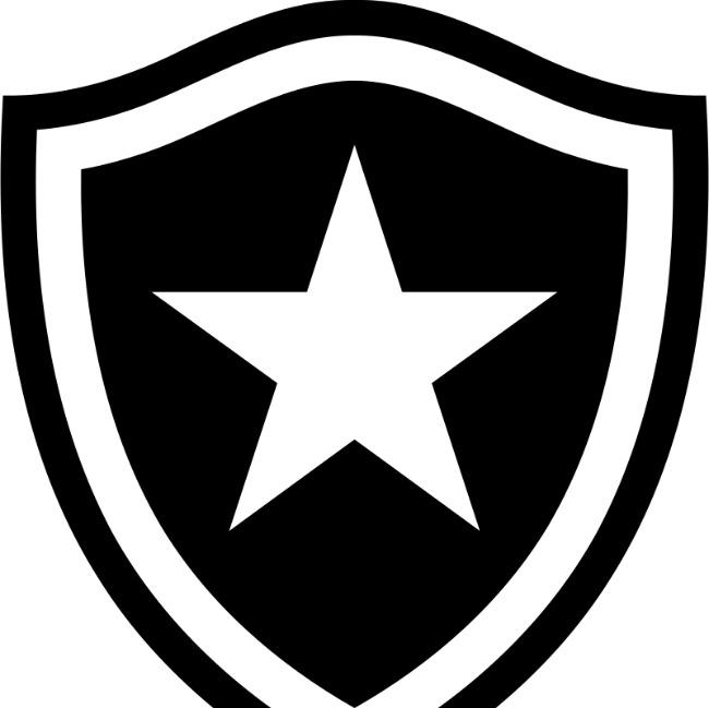Botafogo Futebol e Regatas