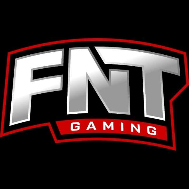 FNT GAMING