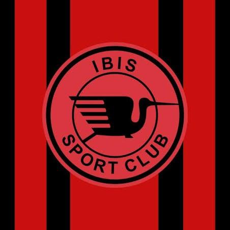 Ibis