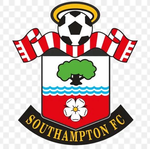 Southampton F.C. (Жорик)