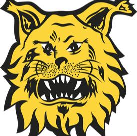 ILVES🥉