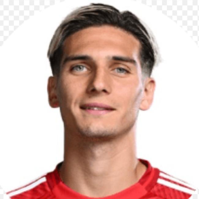 Nicolás Domínguez