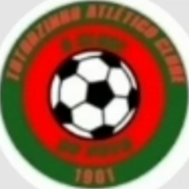 Tothozinho fc