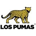 Los Pumas