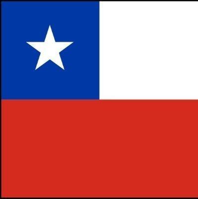 Pedro Jr [Chile]
