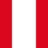 Gabriel Mineiro [Peru]