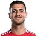 D.Dalot