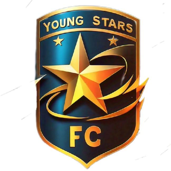 Young Stars