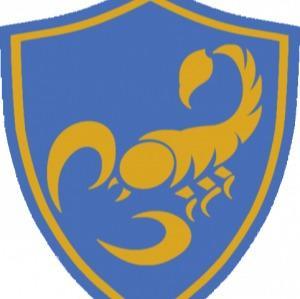 Stingers FC