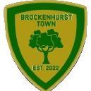 Brockenhurst Town