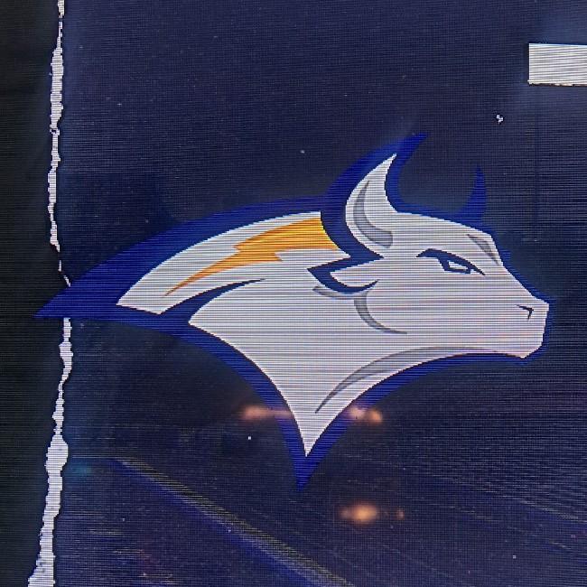 London State Bulls