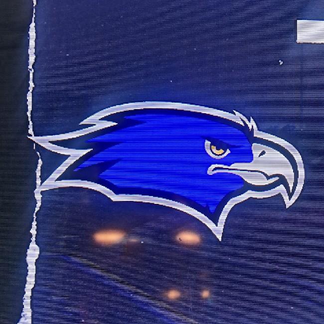 Seville Tech Ravens