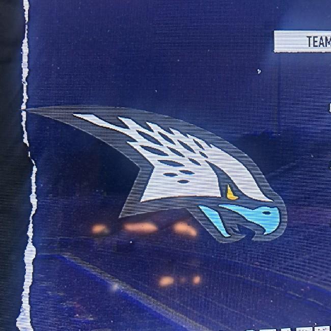 Lenovo State Eagle's