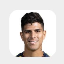 P. Hincapie