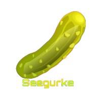 FC Seegurke