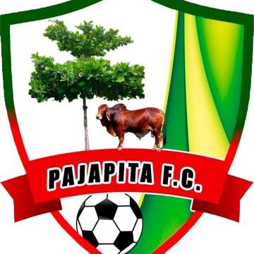 Pajapita